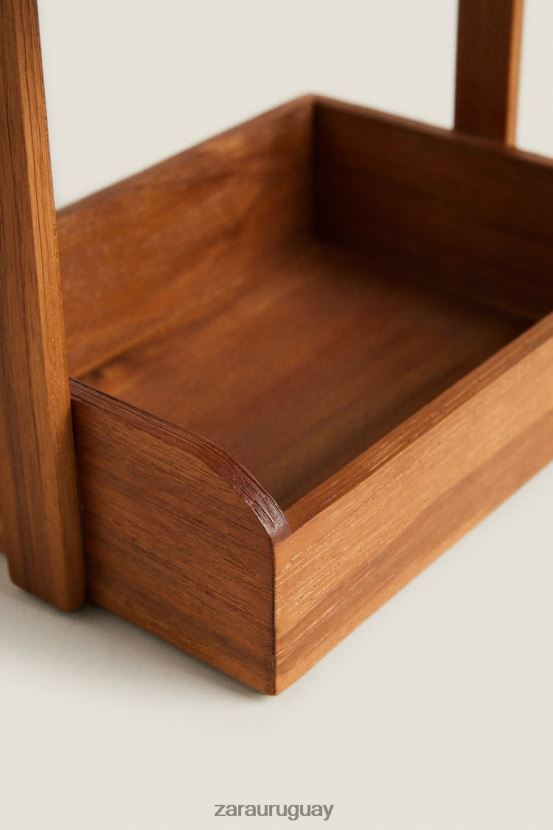 Zara unidad de almacenamiento unisexo H6RHL21681 marrón accesorios