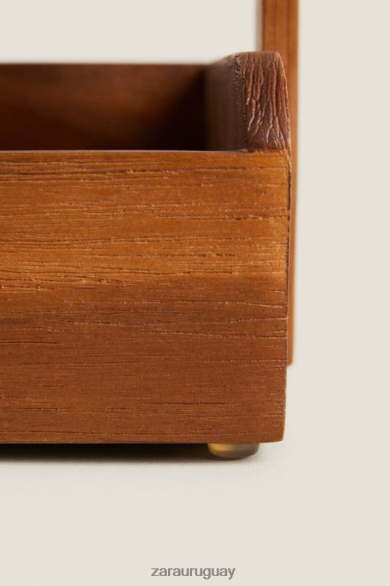 Zara unidad de almacenamiento unisexo H6RHL21681 marrón accesorios