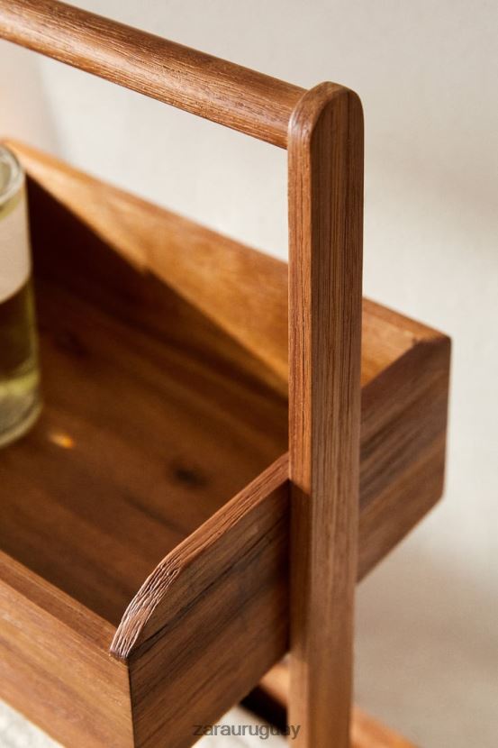 Zara unidad de almacenamiento unisexo H6RHL21681 marrón accesorios