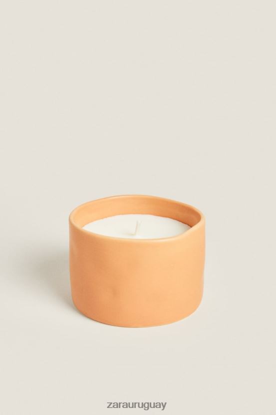 Zara (150 g) vela perfumada de flores unisexo H6RHL21757 naranja accesorios