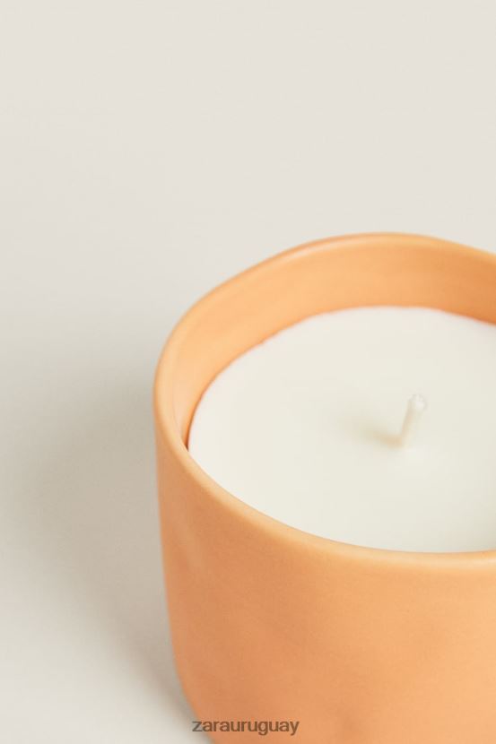Zara (150 g) vela perfumada de flores unisexo H6RHL21757 naranja accesorios