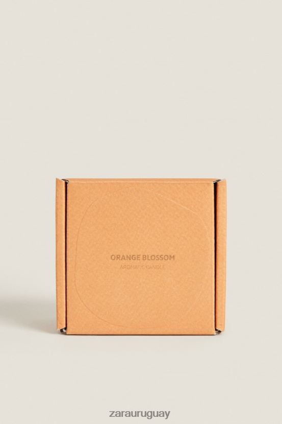Zara (150 g) vela perfumada de flores unisexo H6RHL21757 naranja accesorios