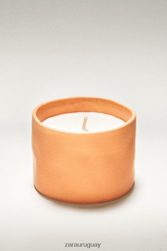 Zara (150 g) vela perfumada de flores unisexo H6RHL21757 naranja accesorios