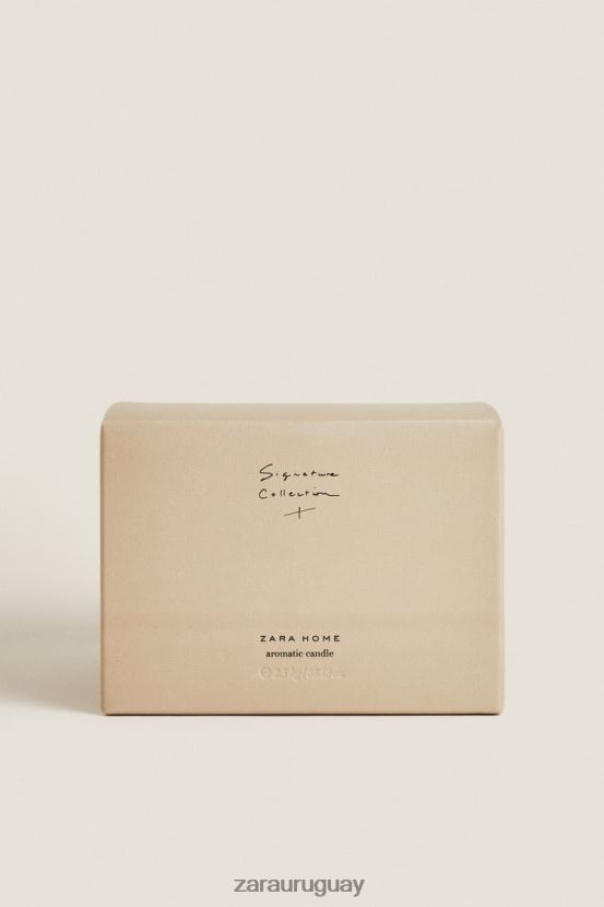 Zara (2,5 kg) vela perfumada Signature Collection XXL unisexo H6RHL21754 beige accesorios
