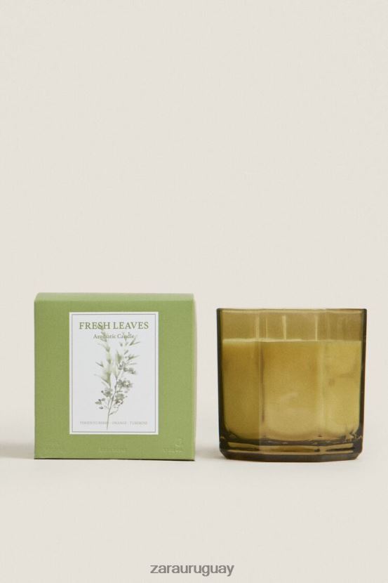 Zara (500 g) vela perfumada de hojas frescas unisexo H6RHL21763 tierra accesorios