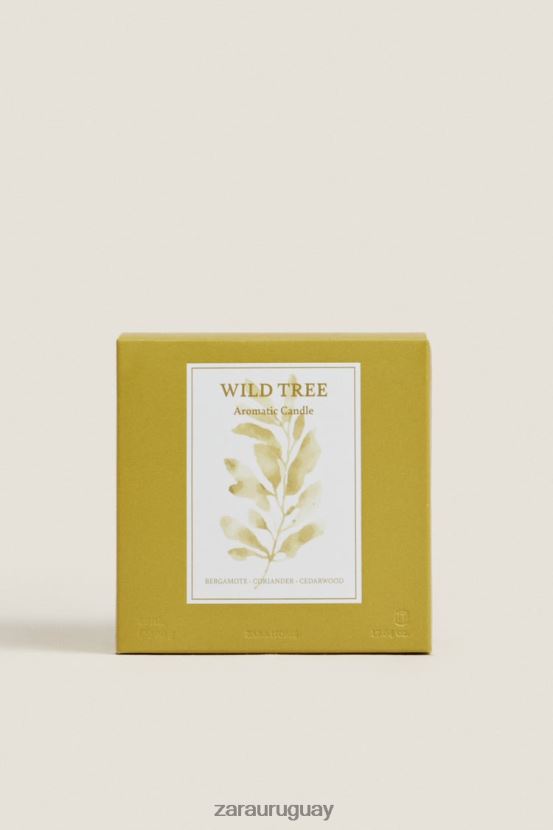 Zara (500 g) vela perfumada de árboles silvestres unisexo H6RHL21764 verde oliva accesorios