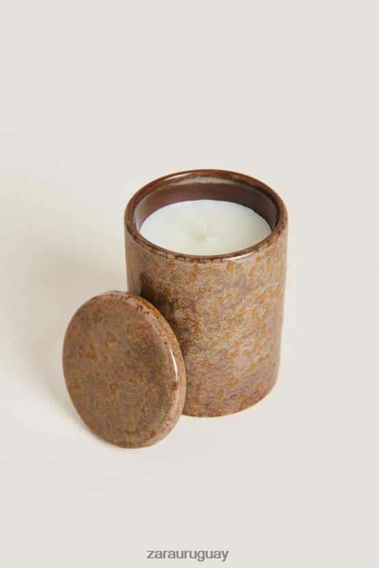 Zara (80 g) vela perfumada de albahaca unisexo H6RHL21761 menta accesorios