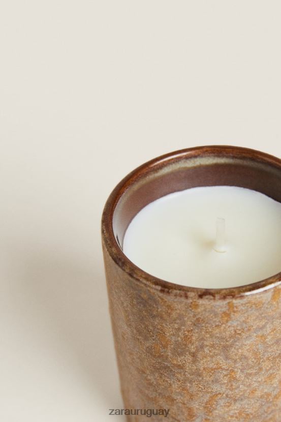 Zara (80 g) vela perfumada de albahaca unisexo H6RHL21761 menta accesorios