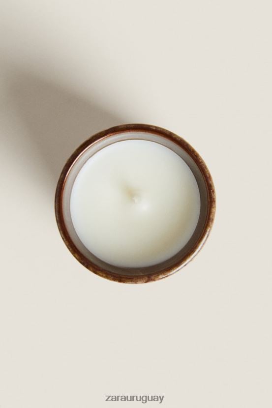 Zara (80 g) vela perfumada de albahaca unisexo H6RHL21761 menta accesorios