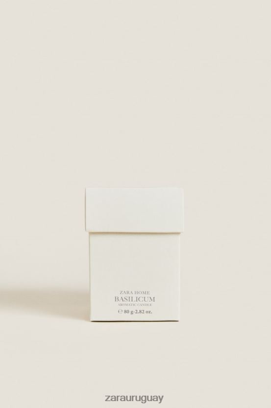 Zara (80 g) vela perfumada de albahaca unisexo H6RHL21761 menta accesorios
