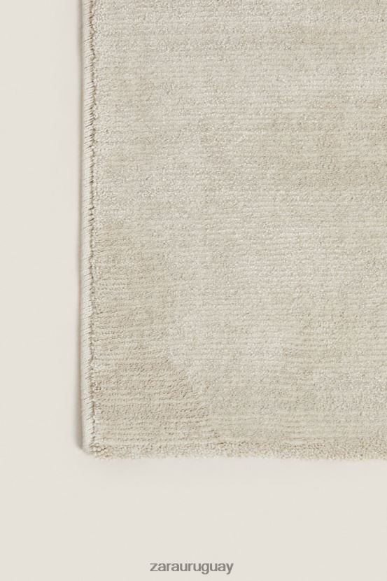 Zara alfombra con textura suave al tacto unisexo H6RHL21648 gris/beige accesorios