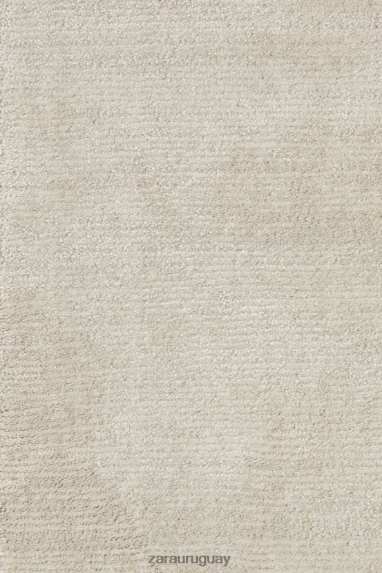 Zara alfombra con textura suave al tacto unisexo H6RHL21648 gris/beige accesorios