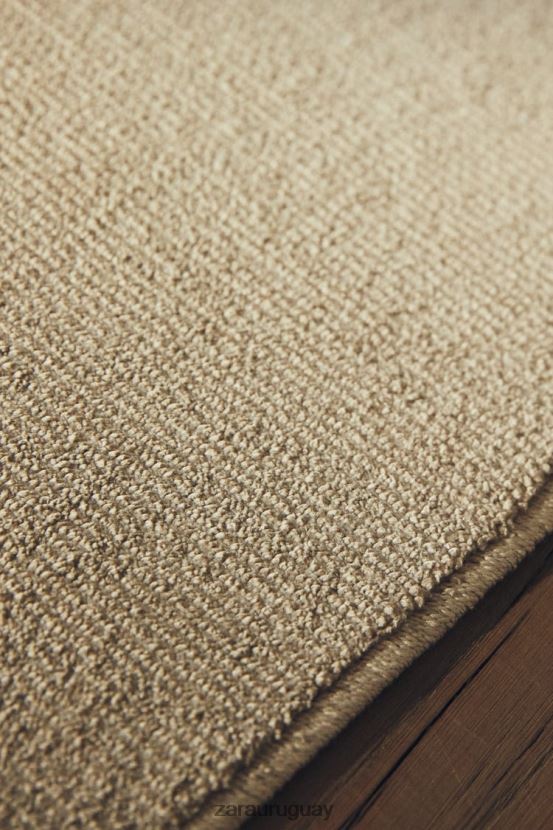 Zara alfombra con textura suave al tacto unisexo H6RHL21648 gris/beige accesorios