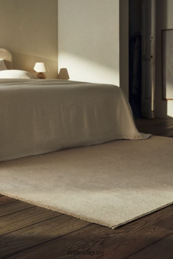 Zara alfombra con textura suave al tacto unisexo H6RHL21648 gris/beige accesorios
