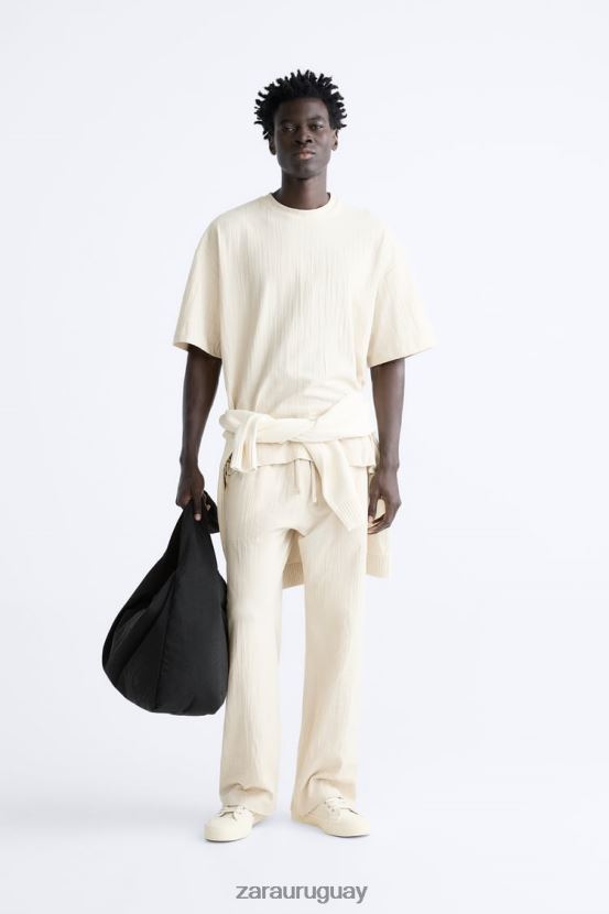 Zara camiseta texturizada hombres H6RHL21201 marrón topo ropa