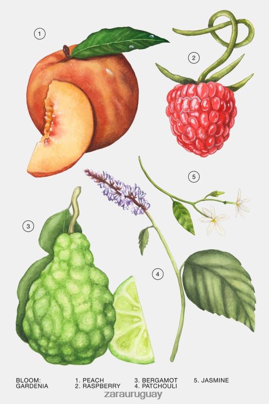 Zara gardenia 180 ml (6,0 onzas líquidas) mujer H6RHL2804 original accesorios