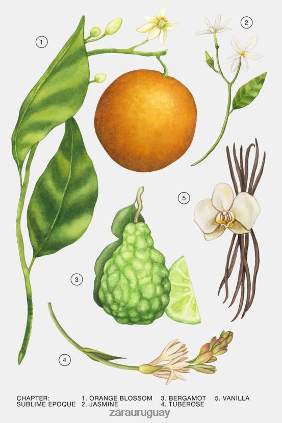 Zara época sublime 30 ml mujer H6RHL2782 original accesorios