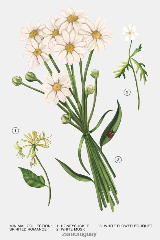 Zara romance enérgico 30 ml mujer H6RHL2796 original accesorios