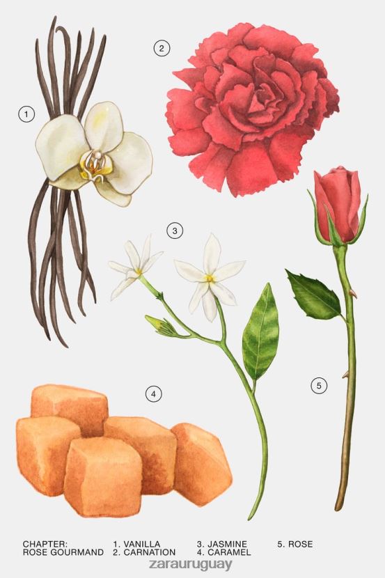 Zara rosa golosa 10 ml mujer H6RHL2785 original accesorios