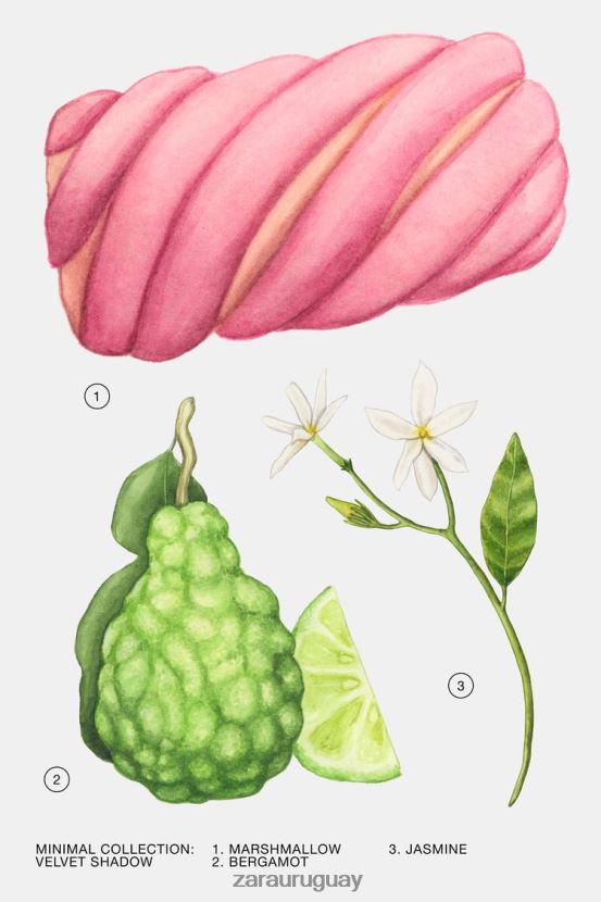 Zara sombra de terciopelo 30 ml mujer H6RHL2791 original accesorios