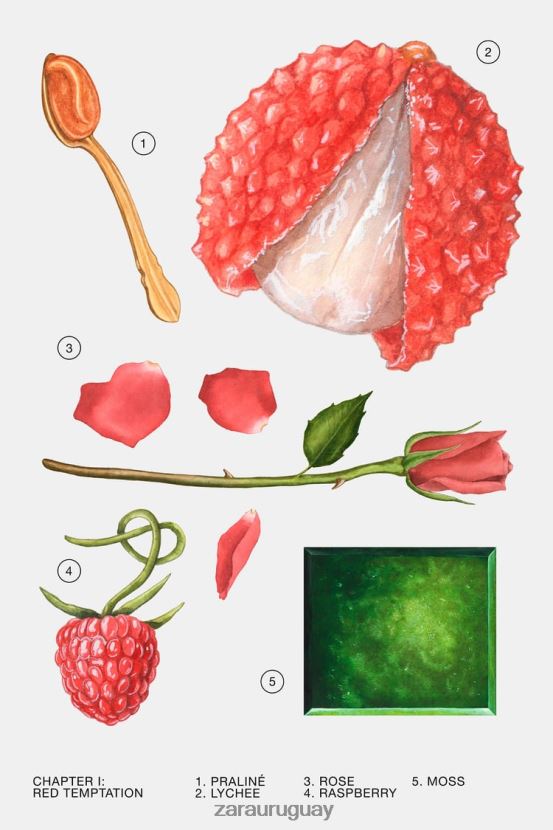 Zara tentación roja verano 80 ml mujer H6RHL2776 original accesorios